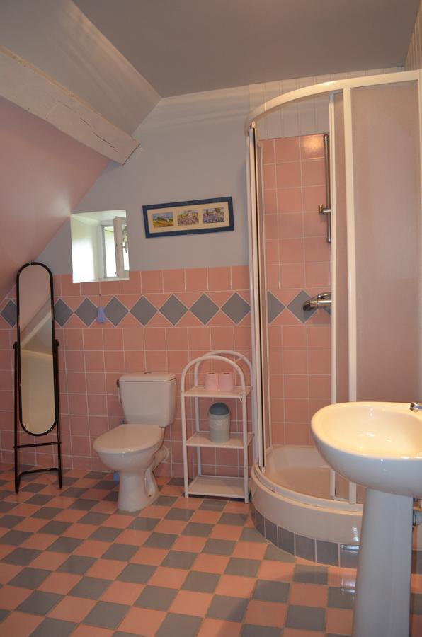 La Ferme Du Chateau Bed & Breakfast Tresnay Bagian luar foto